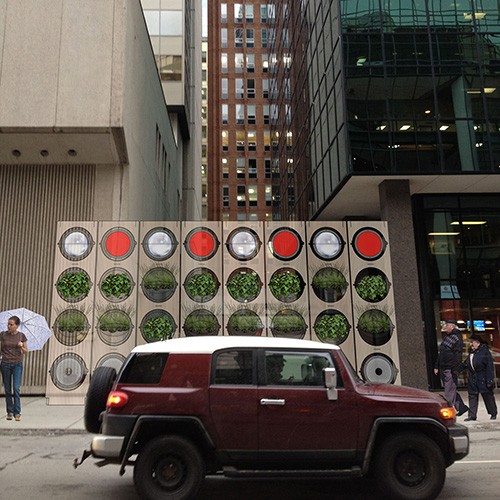 A City Slice of Green